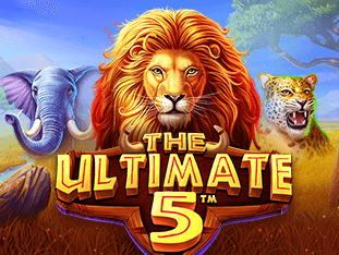 دی 얼ٹی میٹ 5 game thumbnail